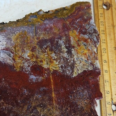 Agua Nueva Moss agate slab. Beautiful color, pattern 4 1/4'' x4 1/8'' x1/4'' 7.1oz