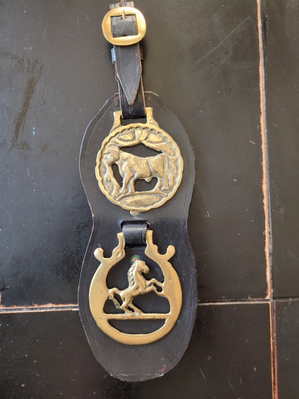 Vintage decorative horse brasses (horse harness medallions)