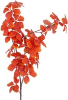 Clayre & Eef 5PL0369 Dekoration Zweig Orange Braun 80 Cm