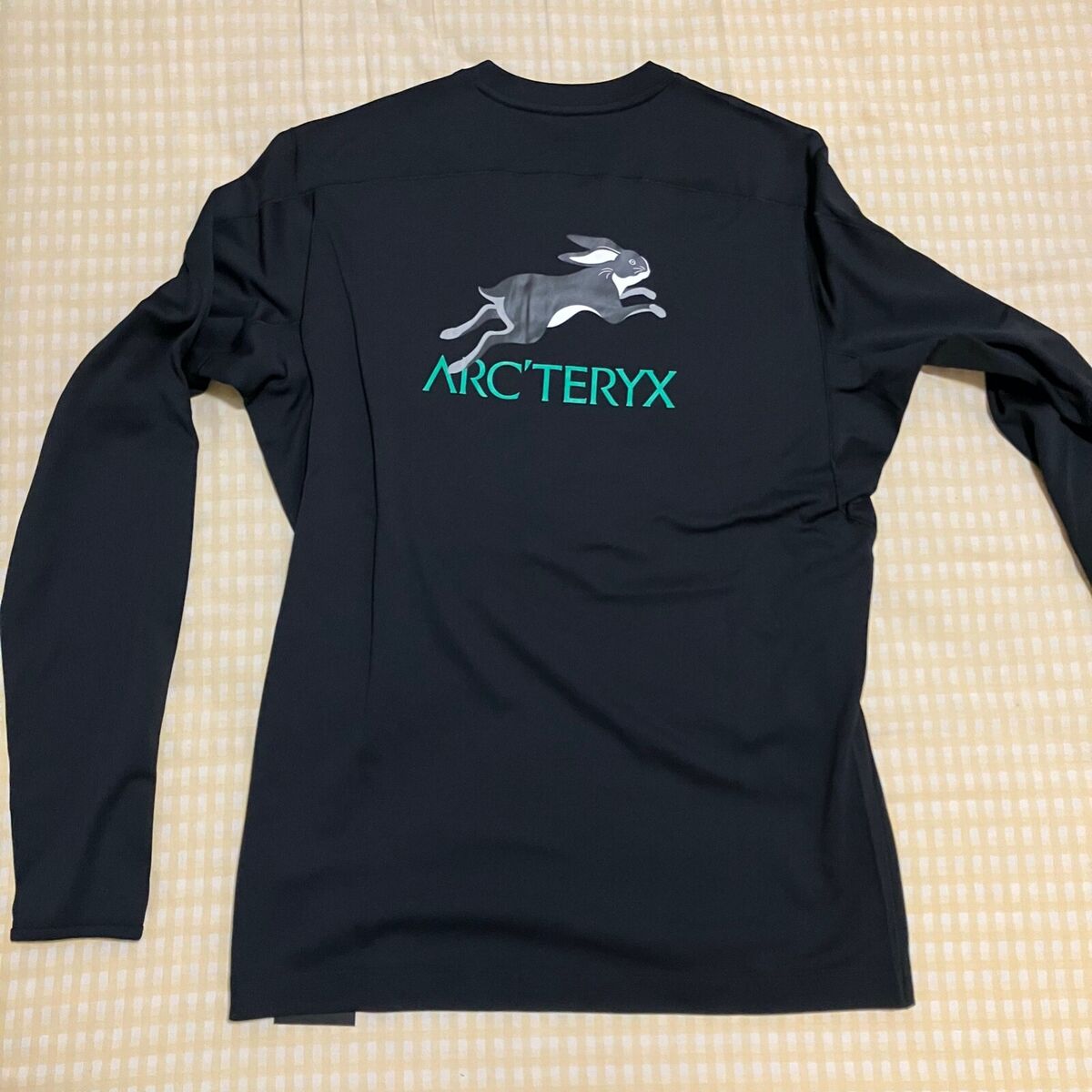 Arcteryx LNY LUNAR NEW YEAR MOTUS AR CREW NECK LS MEN | Size Arcteryx LNY LUNAR NEW YEAR MOTUS AR CREW NECK LS MEN | Size