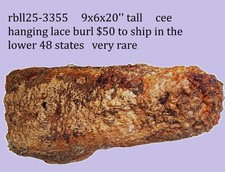 Redwood Hanging Lace Burl  DIY Crafts  Turning Block  RBL25-3355