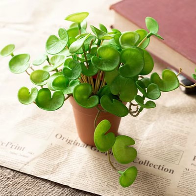 Planta Artificial Artificiales Pared Mini Ramo Hierba Moneda Cobre Pegamento