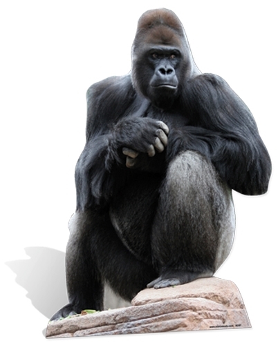Gorilla Lifesize Cardboard Cutout Fun Figure 126cm Tall - Great for your Party - Image 2