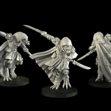 Dragonborn Thief | Crosslances | 3D Printed RPG D&D Wargaming Miniature