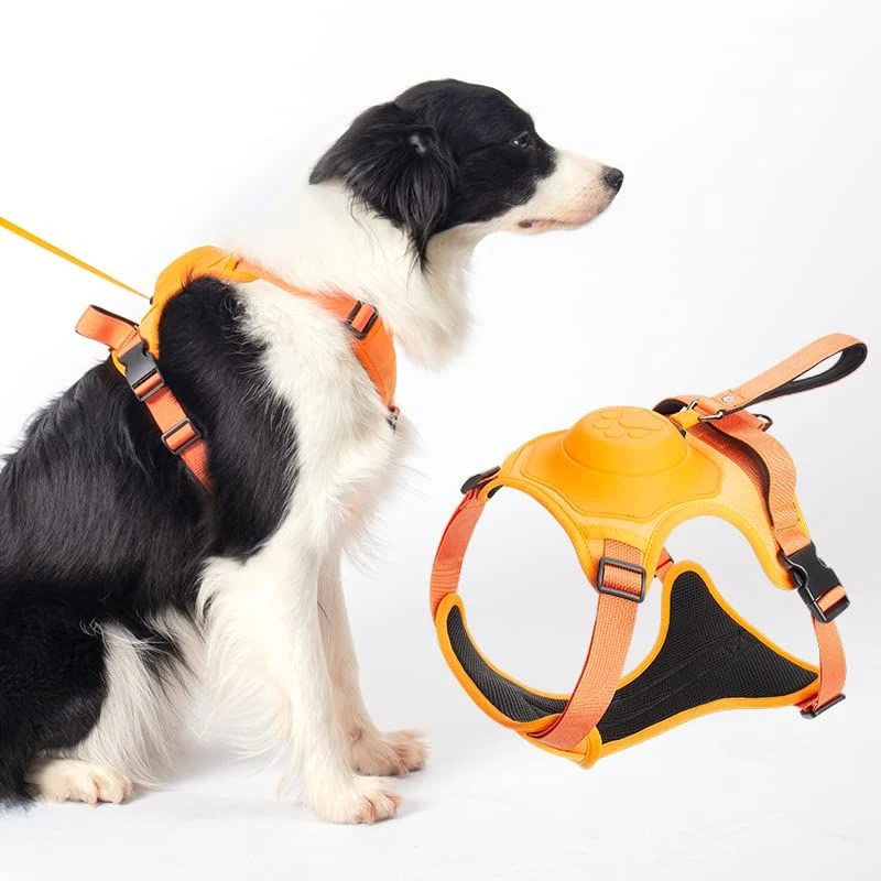 Expandable hotsell dog harness