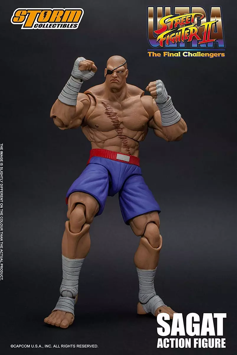 Ultra Street Fighter II: The Final Challengers Ryu 1/12 Scale Action F –  TOYCO Collectibles