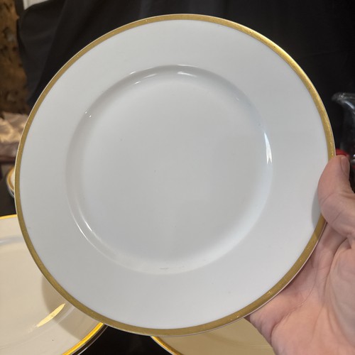 theodore haviland limoges france Set Of 9 Dinner Plates 9 5/8 In - Picture 9 of 12