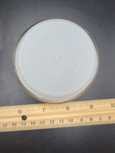 PLANTERS PEANUTS Glass Jar w/ Lid MR. PEANUT 1984 Embossed Diamond Pattern 8" - Picture 12 of 21