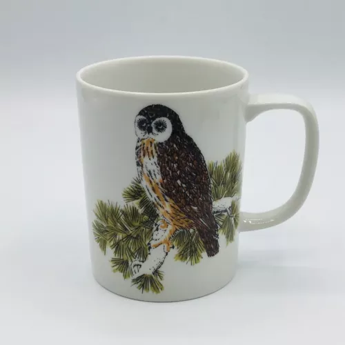 VTG Fitz Floyd Owl Cup Coffee Tea Hooty Variations Mug Cute Made in Japan White