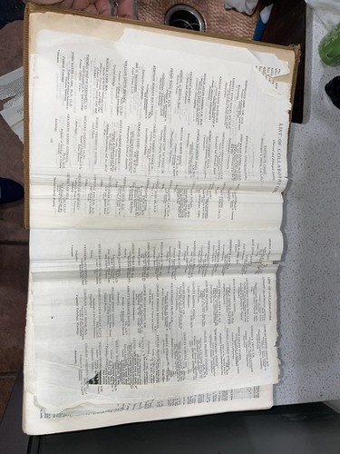 Raee ""The Century Dictionary"" Cordumschlag, 8500 Seiten, antikes Buch 1917 - Bild 15 von 24