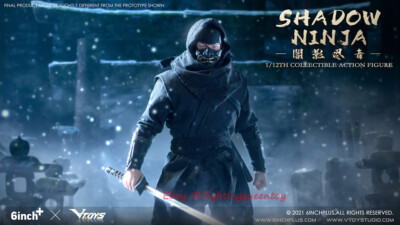 VTOYS X 6INCH+ Shadow Ninja SN001 Black Color 1/12 Scale Figure