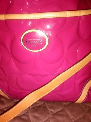 big coach purse