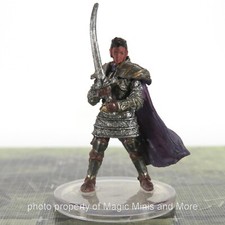 Waterdeep Dungeon of Mad Mage HUMAN PALADIN OF THE OATH VENGEANCE 23 D D mini