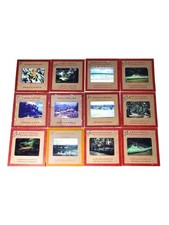 Lot 12 Kodachrome Slides 1940s Garden Flowers Landscape Nature Scenic