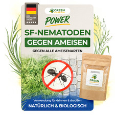 SF Nematoden gegen Ameisen–2 Mio. bis 50Mio.-Mittel gegen Ameisen im Haus&Garten