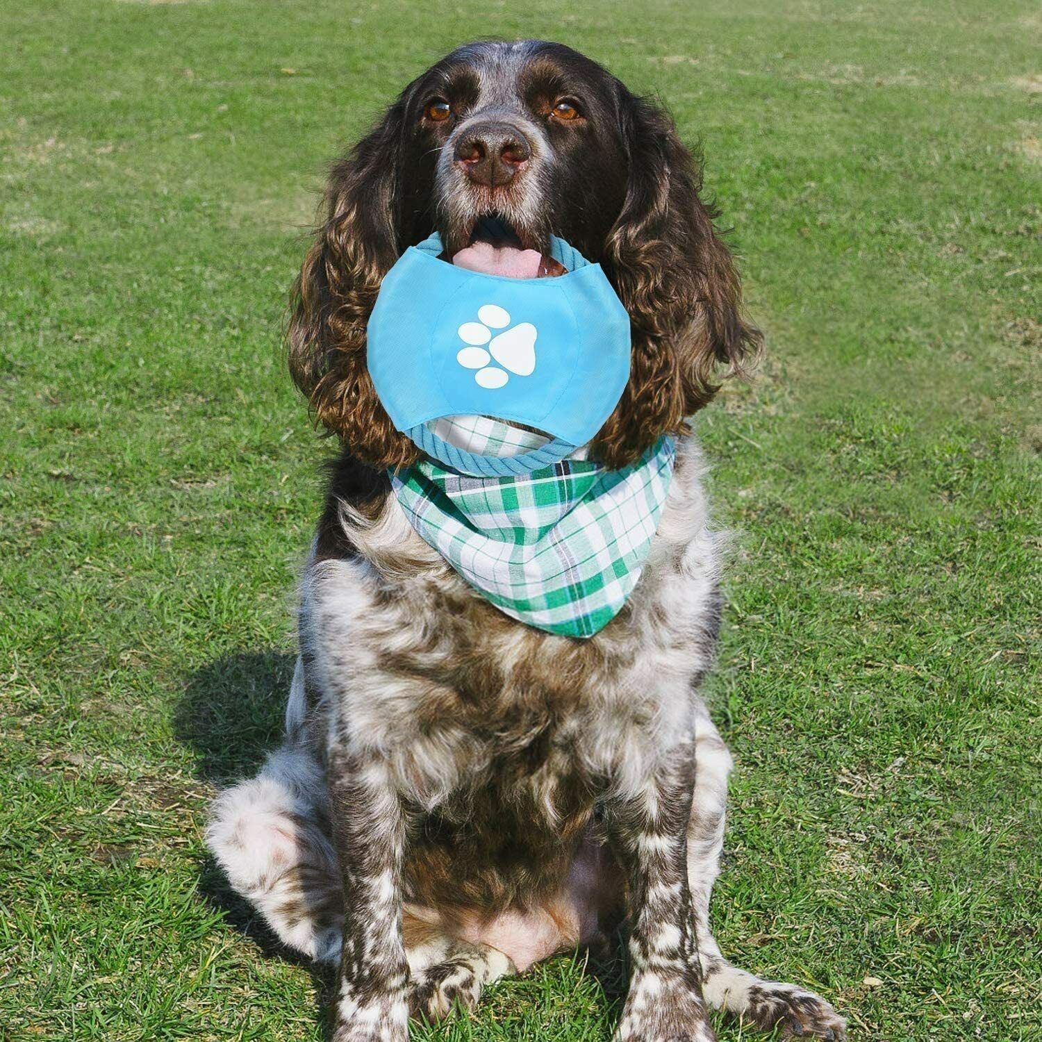 10 Pcs Dog Toys Puppy Toys Rope Toys Braided Rope Chew Play Toys Teething Toys