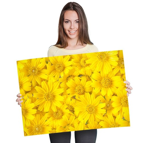A1 - Bright Yellow Flowers Garden Summer Poster 60X90cm180gsm Print #24459