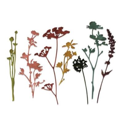 Sizzix Thinlits Stanzformen von Tim Holtz - Wildblumen #1 661190