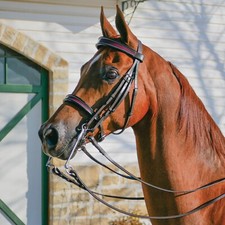 Premium Leather Dressage English Bridle for Horse Available Multiple All Sizes