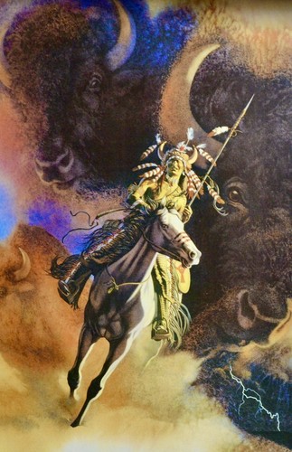 Bev Doolittle Framed Art Prints "11X14” "Runs with Thunder" Buffalo Native Brave - Picture 5 of 10