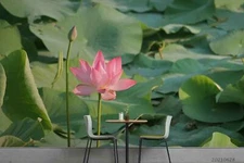 3D Lotus Floral Wallpaper Wall Mural Removable Self-adhesive Sticker2868