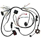 <!--F#f_0-->WIRE LOOM WIRING HARNESS for GY6 125cc 150cc ATV QUAD BIKE BUGGY GO KART<!--F/-->