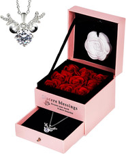 Preserved Real Red Rose,Red Real Rose with Heart Necklace,Eternal Flowers Rose B