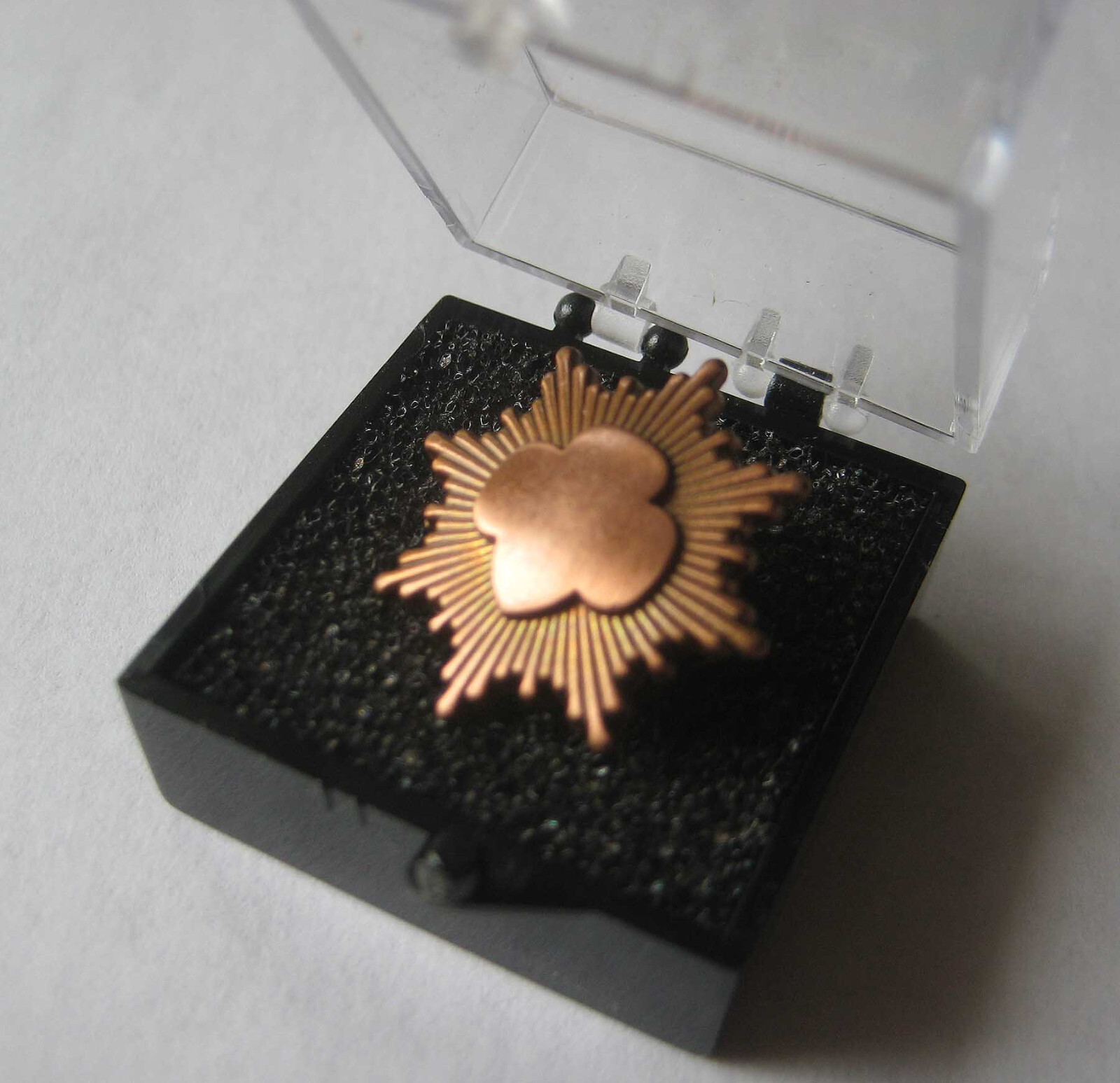 New Style Post2011 Girl Scout BRONZE AWARD PIN Junior Highest Earned