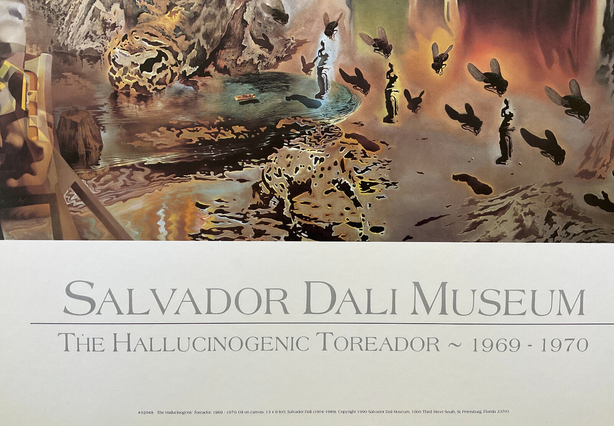 額装品/Hallucinogenic Toreador/ダリ/ポスター $_57.JPG?set_id=880000500F