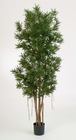 Artplants Kunst Podocarpus Mateo, 7497 BläTter, GrüN, 180Cm