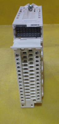 Schneider Electric Modicon X80 Analog Input Module (BMXAMI0810)