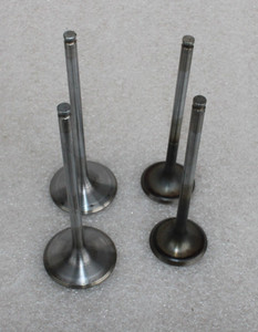 BMW S1000XR K49 S1000R K47 EINLASSVENTIL AUSLASSVENTIL ZYLINDERKOPF VALVE SET