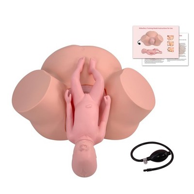 Birth Midwifery Training Model Simulator, Life Size Childbirth Demonstration ...