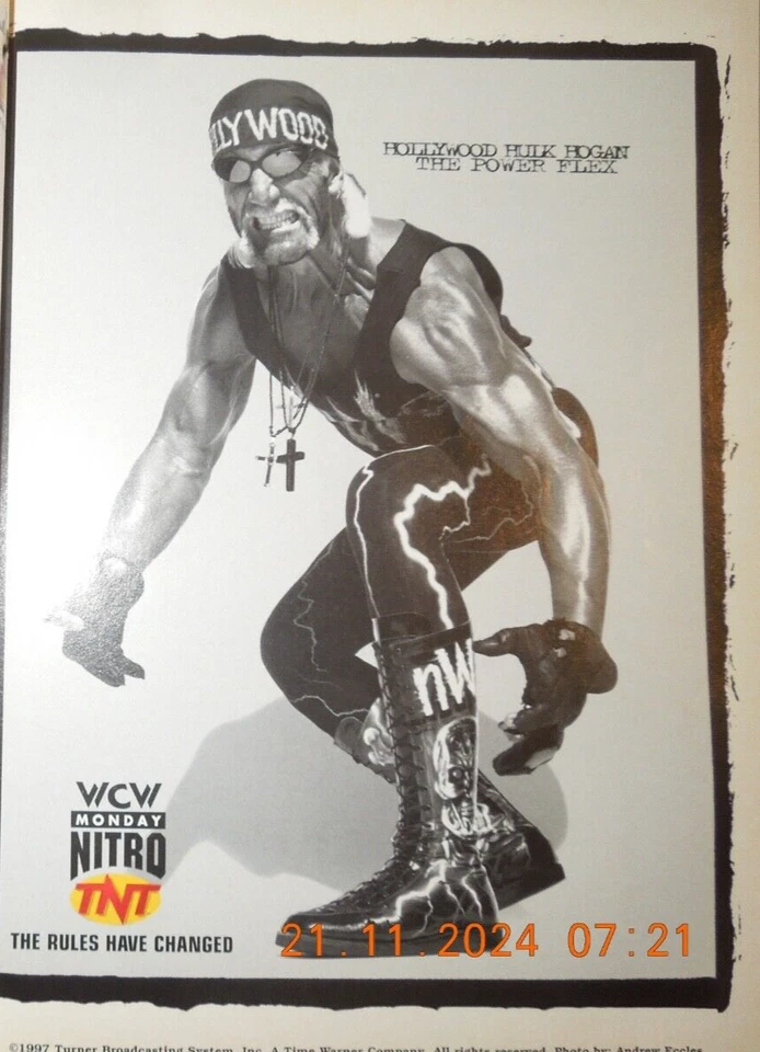 GWEN STEFANI details JACKIE ROBINSON hulk hogan JOSH BROLIN Yasmine bleeth - Image 4 of 4