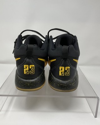 Size 13 - Nike Zoom Rev PE Draymond Green for sale online | eBay