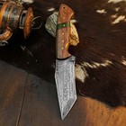 9.0" Tanto EDC Knife Damascus Fixed Blade Wood Handle Full Tang + Sheath — photo 4