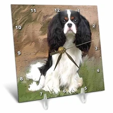 3dRose LLC Cavalier Spaniel Desk Clock, 6 by 6-Inch 6x6 Desk Clock