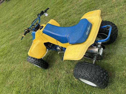 1988 SUZUKI LT250R LT 250R QUADRACER RIDE RESTORE EASY PROJECT LT500 QUADZILLA - Picture 8 of 15
