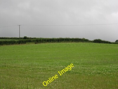 Photo 6x4 A silage crop Whitehill Awaiting cutting, if the rain ever stop c2012