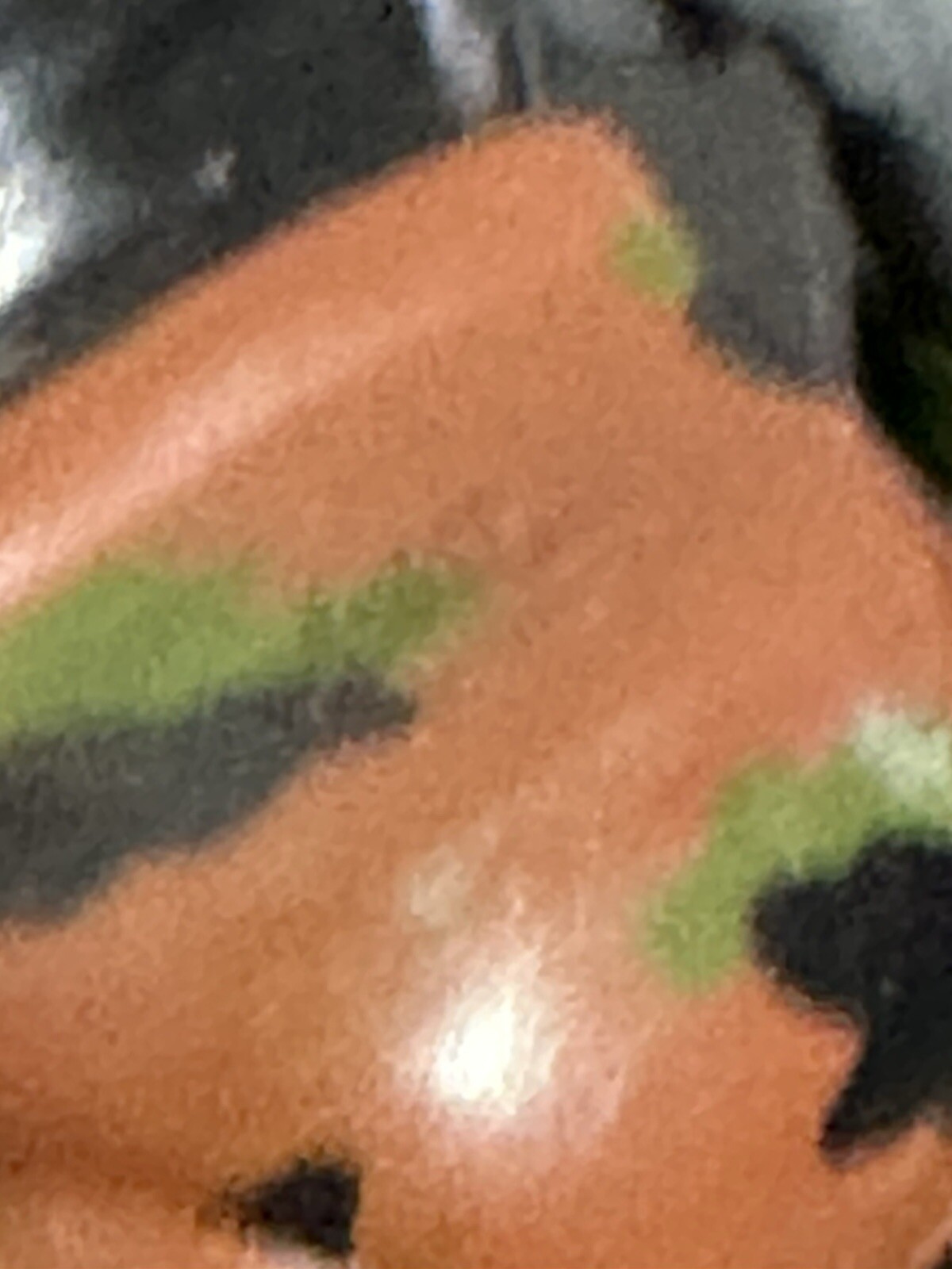 Picture 7 of 14