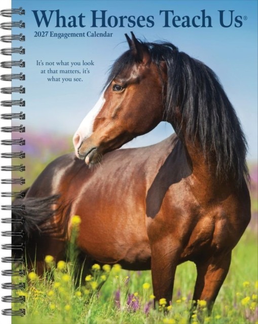 What Horses Teach Us 2027 Engagement - Image 2