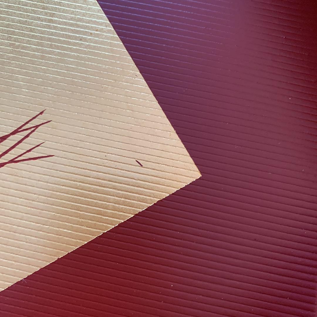 Japanese Echizen lacquerware cy bowls unused