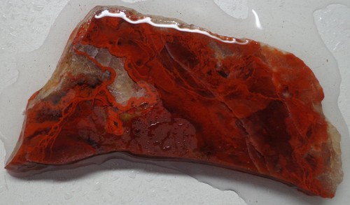 WRG- Moss Agate Slab 34 grams Lapidary Old Stock jasper rhyolite - Picture 2 of 4