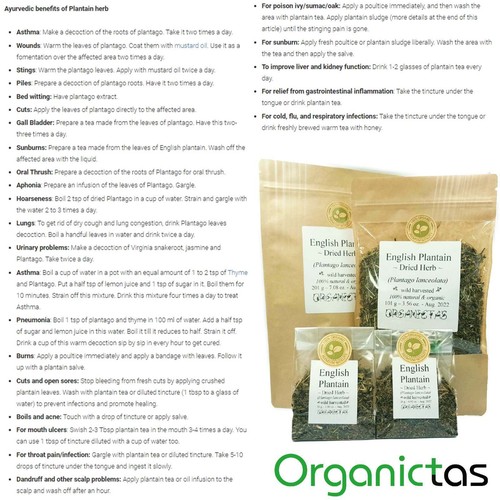 Té de hoja de plátano orgánico - beneficios para la salud de la piel, alergias y otros usos - Imagen 4 de 12