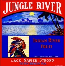 Jungle River Orange Vero Beach Florida Citrus Fruit Crate Label Art Print