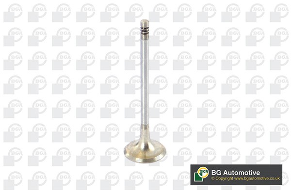 ✅Fits BGA V090100 EXHAUST VALVE   ⭐UK Seller⭐