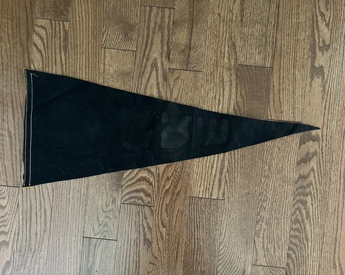 Vintage Army West Point Pennant - 29” - Picture 3 of 3