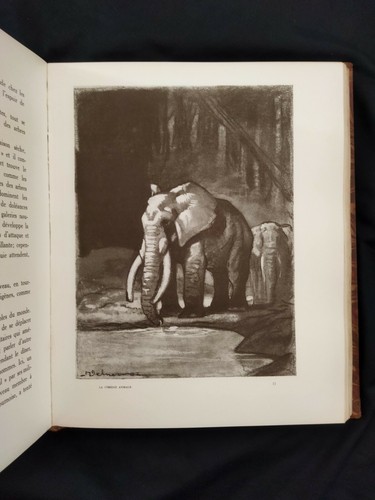 André Demaison: Animal Comedy Illustrations Of H.Deluermoz Delagrave 1938 - Picture 4 of 12