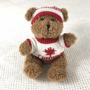 teddy sweater canada
