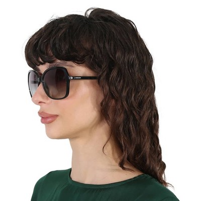 Calvin Klein Grey Gradient Butterfly Ladies Sunglasses CK19561S 360 57